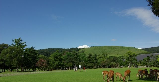 奈良県 - 地域のPRイメージ画像