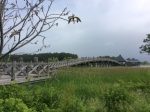 青森県 - 地域のPRイメージ画像