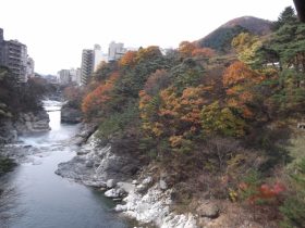 栃木県 - 地域のPRイメージ画像