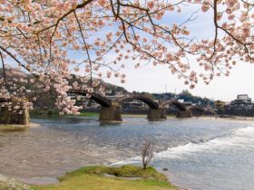 山口県 - 地域のPRイメージ画像