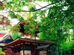 和歌山県 - 地域のPRイメージ画像